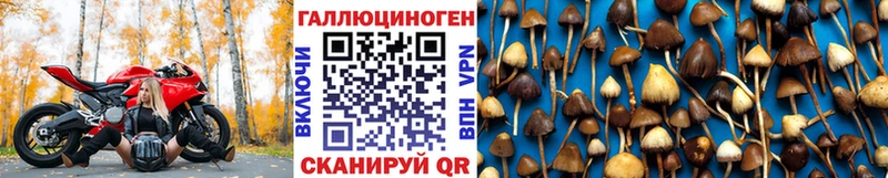 Псилоцибиновые грибы прущие грибы  Покачи 